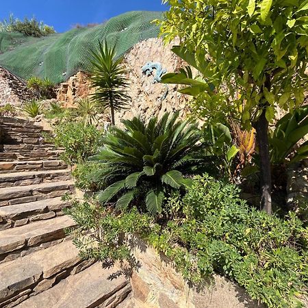 Meuble Tourisme 4*, Les Pieds Dans L'Eau, Villa Las Palmeras La Londe-les-Maures Kültér fotó